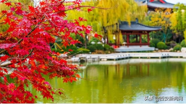 过年去西安旅游攻略 第5张