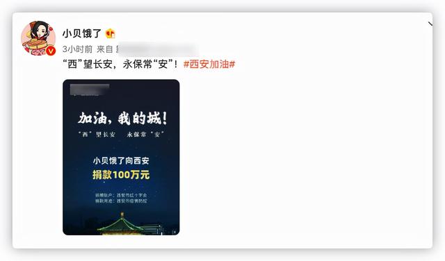 辛巴捐款是真的给四川捐款1.5亿元众人驰援西安:吃播网红捐款百万 第2张