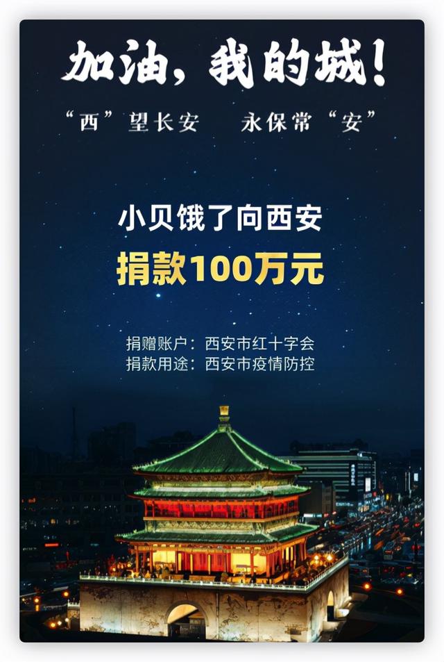 辛巴捐款是真的给四川捐款1.5亿元众人驰援西安:吃播网红捐款百万 第3张