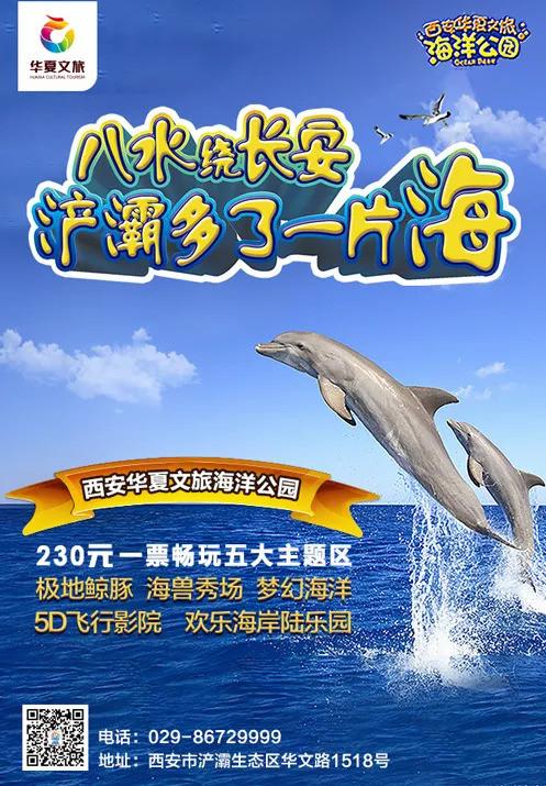 西安浐白鲸、海豚、海豚、企鹅扎堆来了 第1张