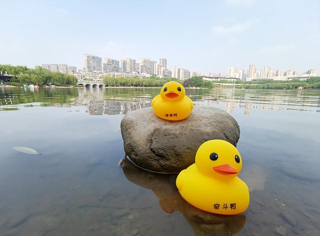 西安端午民俗活动数不胜数端午假期大唐芙蓉园端午假期大唐芙蓉园 第14张