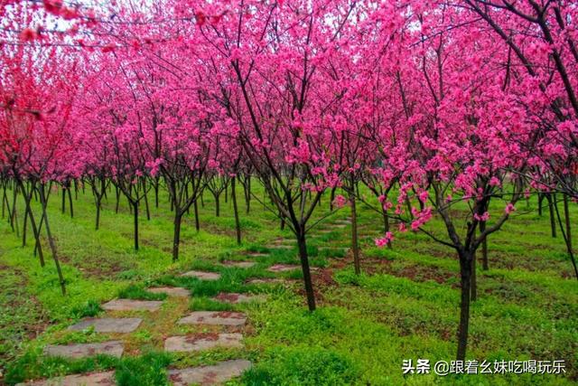 西安这家亲子农场,你一定得来! 第7张