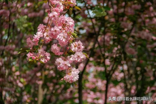西安这家亲子农场,你一定得来! 第9张