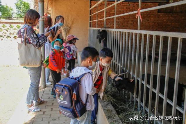 西安这家亲子农场,你一定得来! 第14张