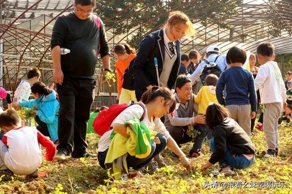 西安这家亲子农场,你一定得来! 第28张