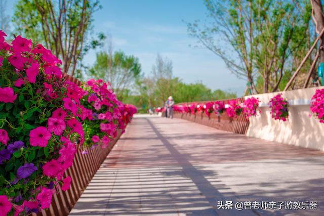 西安永安渠海绵城市公园,有儿童乐园,看看尼康色彩大片来袭 第7张