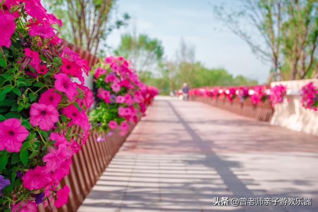 西安永安渠海绵城市公园,有儿童乐园,看看尼康色彩大片来袭 第6张