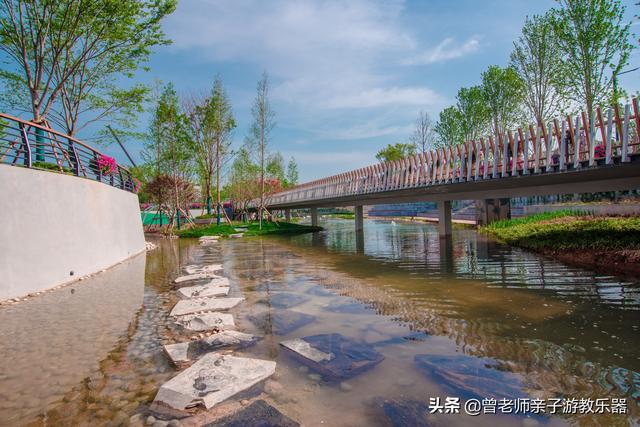 西安永安渠海绵城市公园,有儿童乐园,看看尼康色彩大片来袭 第35张