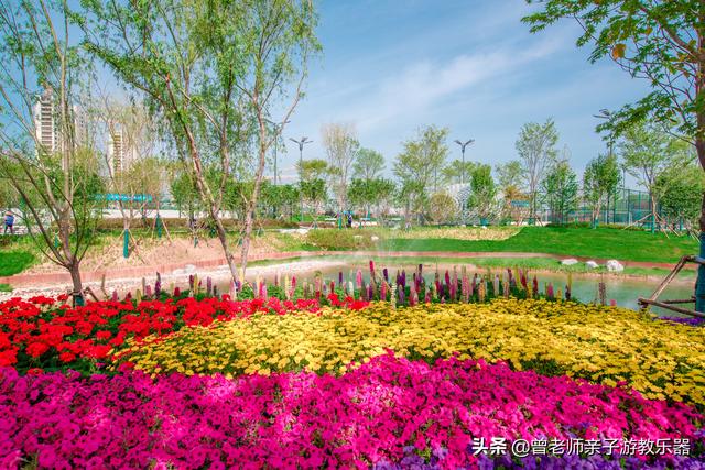 西安永安渠海绵城市公园,有儿童乐园,看看尼康色彩大片来袭 第41张