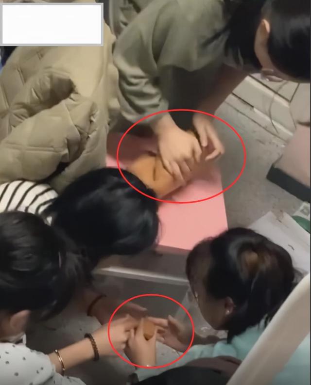 西安高校封校女大学生自制麻将,“幺鸡”成亮点,网友:没了灵魂 第2张