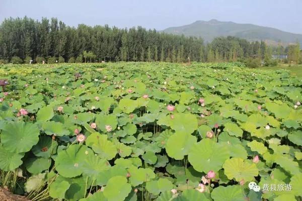 济南高铁沿线景区门票优惠 第23张