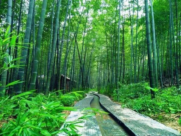 济南高铁沿线景区门票优惠 第48张