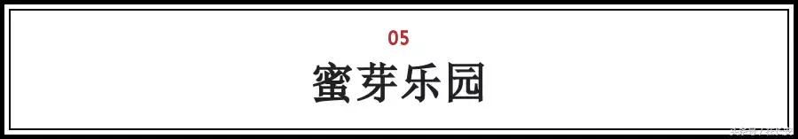 西安带孩子探险乐园(中大国际十三朝古迹非常多,因此很多人喜欢来西安旅游 第17张