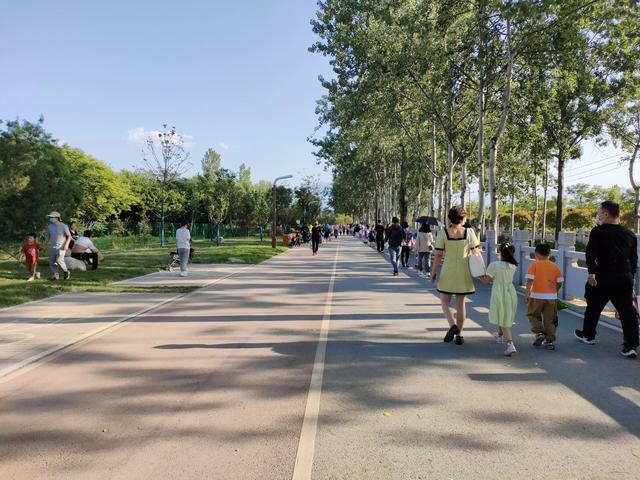 西安仪祉湖游记 第3张