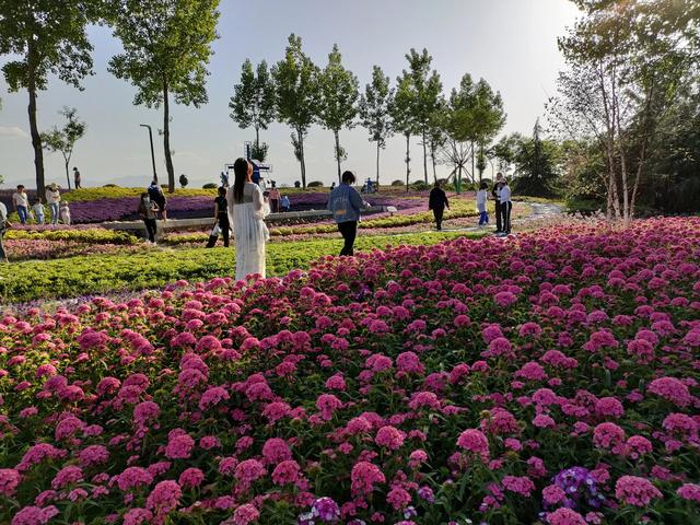 西安仪祉湖游记 第41张