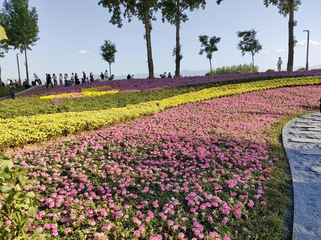 西安仪祉湖游记 第47张