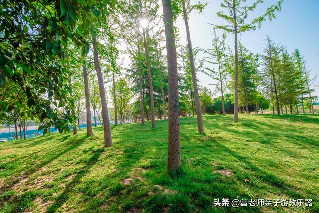 广东南岭旅游攻略 第293张