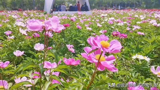 广东南岭旅游攻略 第4张