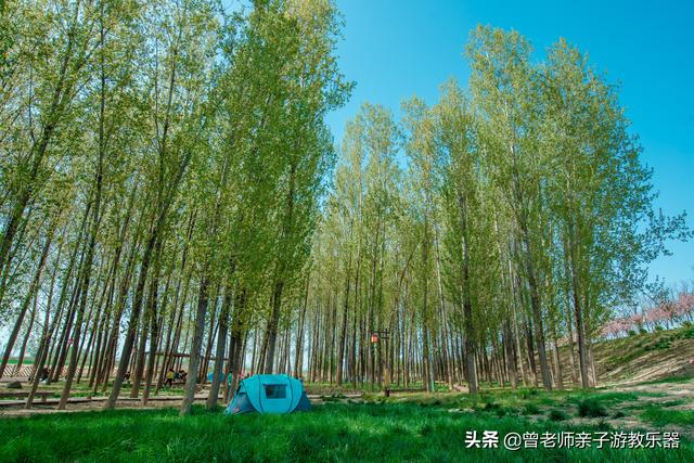 广东南岭旅游攻略 第16张