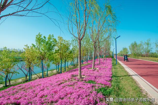 广东南岭旅游攻略 第22张