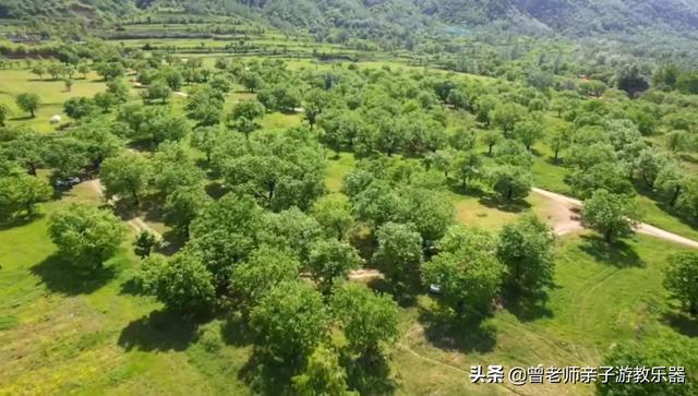 广东南岭旅游攻略 第48张