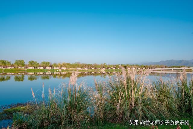 广东南岭旅游攻略 第41张