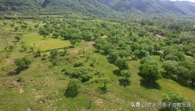 广东南岭旅游攻略 第50张
