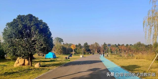 广东南岭旅游攻略 第60张