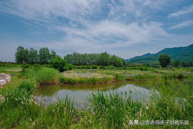 广东南岭旅游攻略 第78张