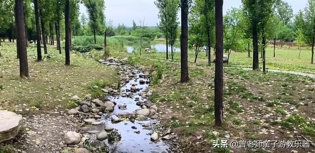 广东南岭旅游攻略 第83张