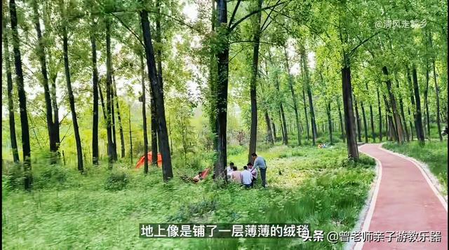 广东南岭旅游攻略 第95张