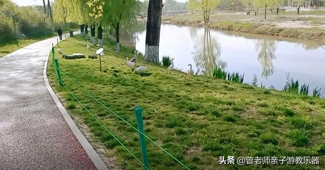 广东南岭旅游攻略 第99张