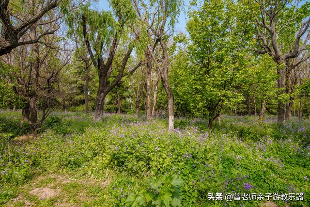 广东南岭旅游攻略 第145张