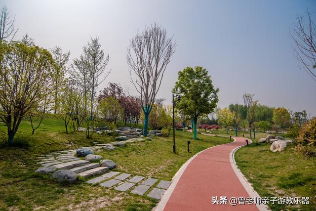 广东南岭旅游攻略 第143张