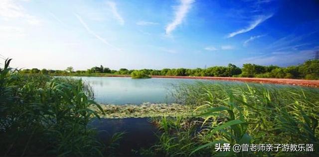 广东南岭旅游攻略 第158张