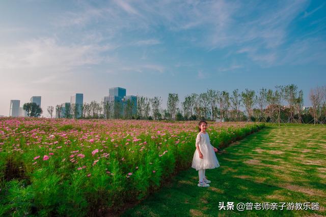 广东南岭旅游攻略 第168张