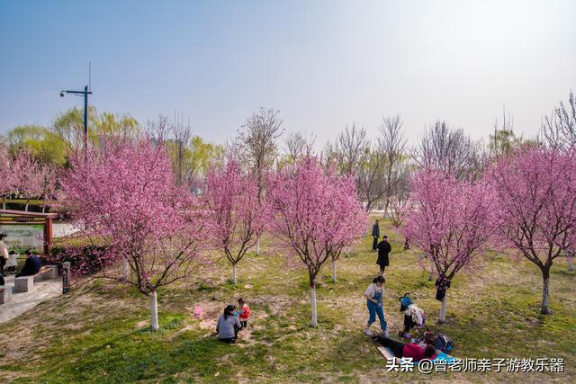 广东南岭旅游攻略 第181张