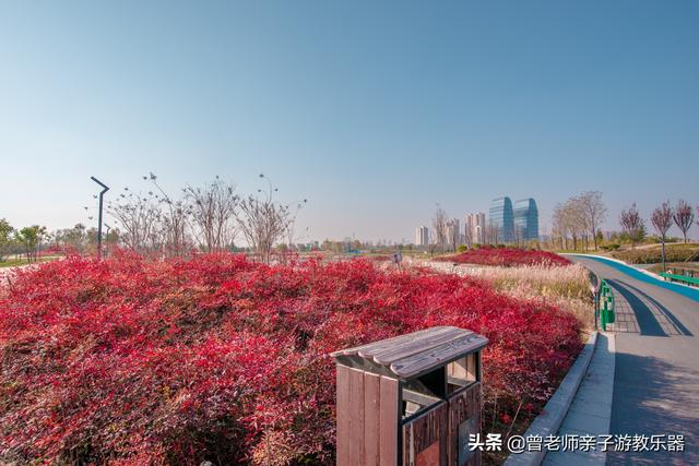 广东南岭旅游攻略 第191张