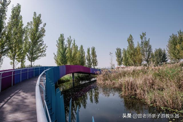 广东南岭旅游攻略 第196张