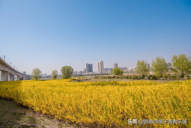 广东南岭旅游攻略 第204张