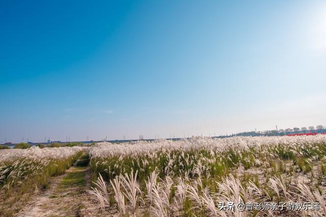 广东南岭旅游攻略 第201张
