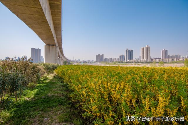 广东南岭旅游攻略 第205张
