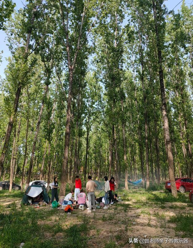 广东南岭旅游攻略 第226张