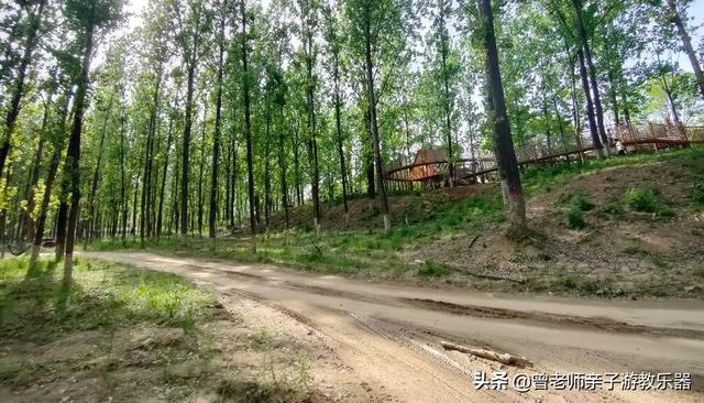 广东南岭旅游攻略 第224张