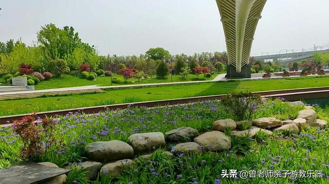 广东南岭旅游攻略 第229张