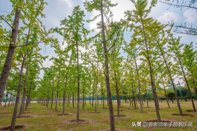 广东南岭旅游攻略 第248张