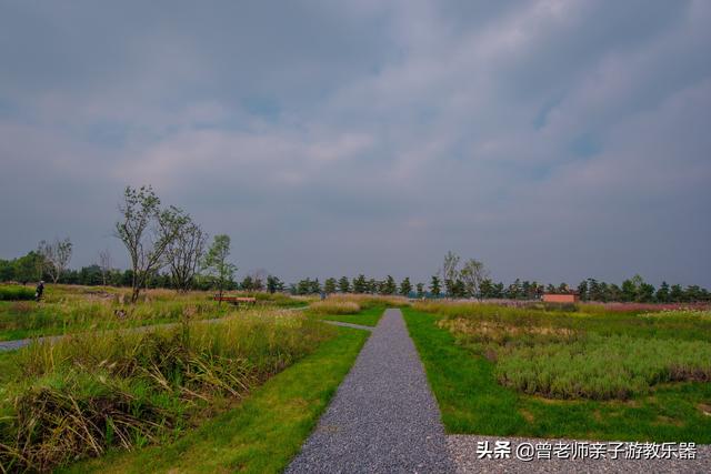 广东南岭旅游攻略 第250张