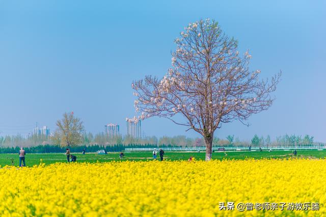 广东南岭旅游攻略 第251张