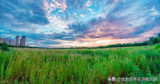 广东南岭旅游攻略 第263张