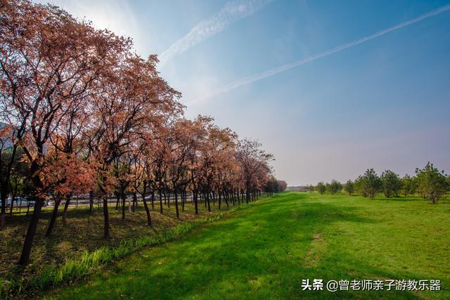 广东南岭旅游攻略 第264张